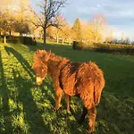 Le Rucher * Bois-Normand-près-Lyre