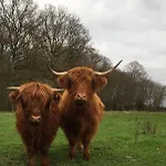 Le Rucher Bois-Normand-près-Lyre