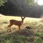 Dom wakacyjny Le Rucher Bois-Normand-près-Lyre
