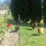 Le Rucher Dom wakacyjny Bois-Normand-près-Lyre