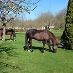 Le Rucher Dom wakacyjny Bois-Normand-près-Lyre