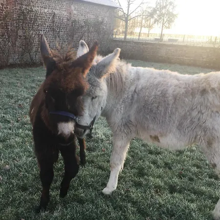 Le Rucher بيت للعطل *