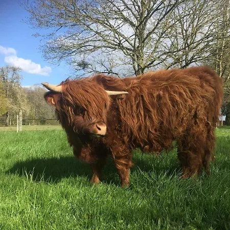 Le Rucher بيت للعطل *