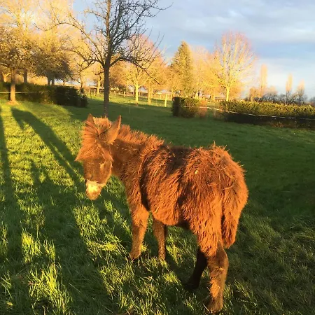 Le Rucher * Bois-Normand-près-Lyre