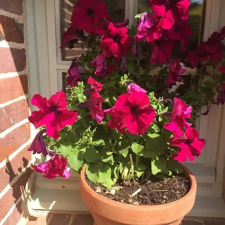 Le Rucher بيت للعطل