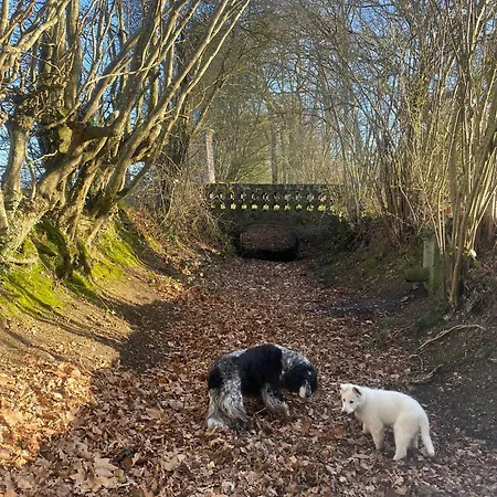 Le Rucher * Bois-Normand-près-Lyre